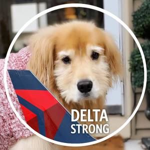 Meet your Posher, Stephen